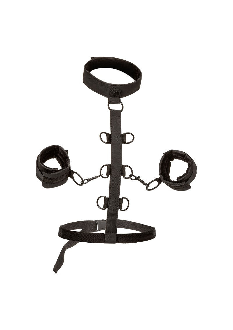 ♂ ♀ CalExotics Boundless Collar Body Restraint @ Happytoys Sexshop: Toys for Feeling Happy & Easy 😊