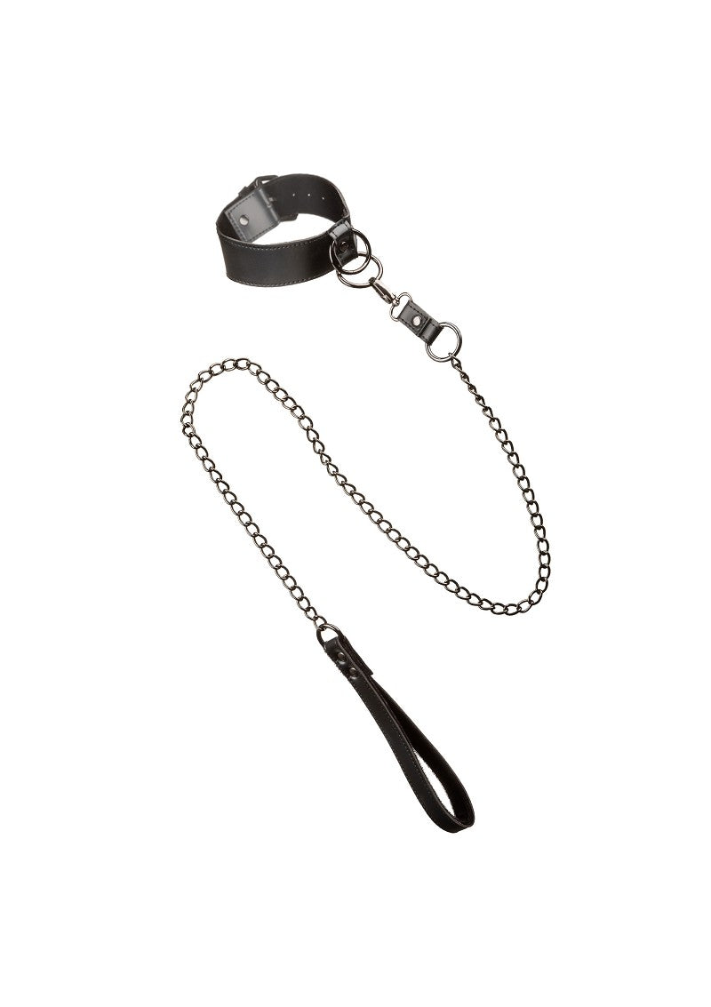 ♂ ♀ CalExotics Euphoria Collection Collar with Chain Leash