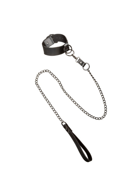 ♂ ♀ CalExotics Euphoria Collection Collar with Chain Leash @ Happytoys Sexshop: Toys for Feeling Happy & Easy 😊