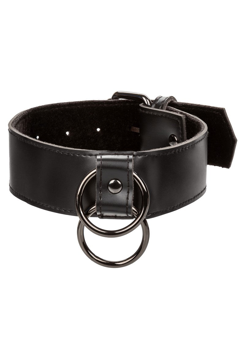 ♂ ♀ CalExotics Euphoria Collection Collar with Chain Leash