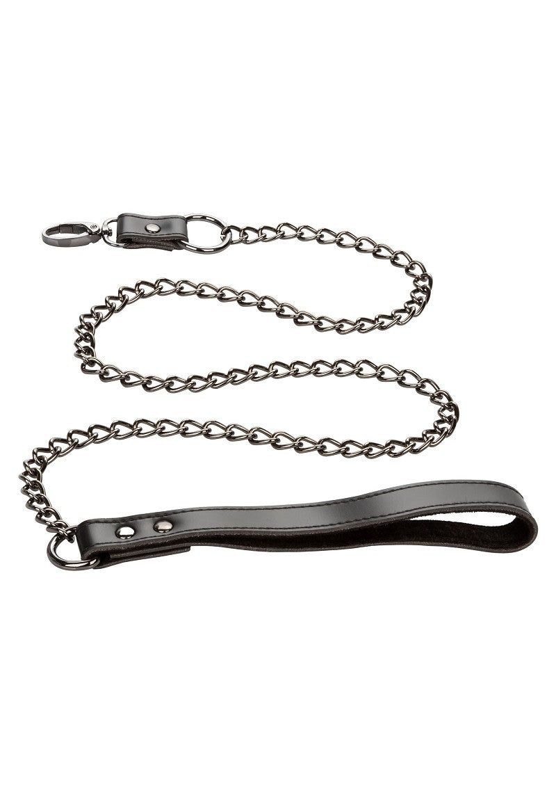 ♂ ♀ CalExotics Euphoria Collection Collar with Chain Leash