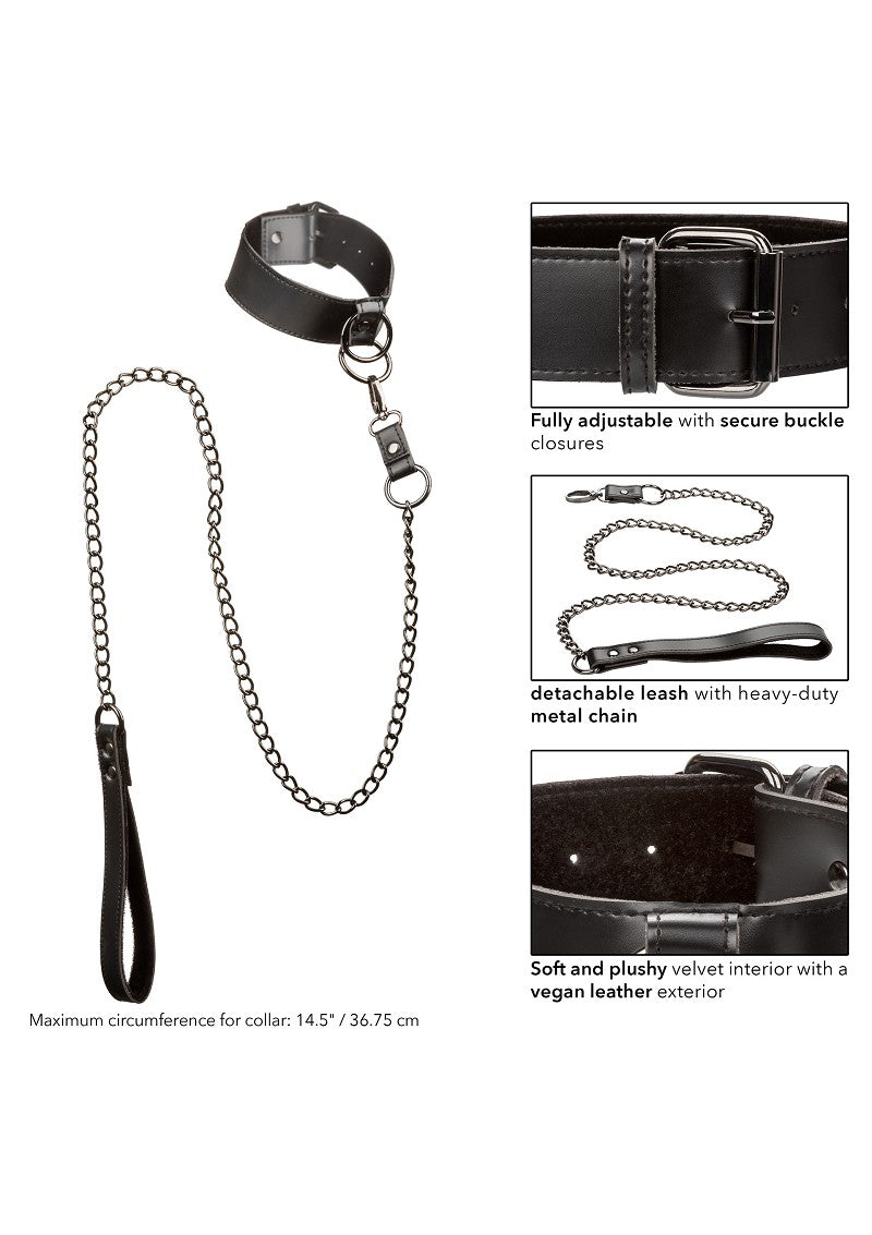 ♂ ♀ CalExotics Euphoria Collection Collar with Chain Leash