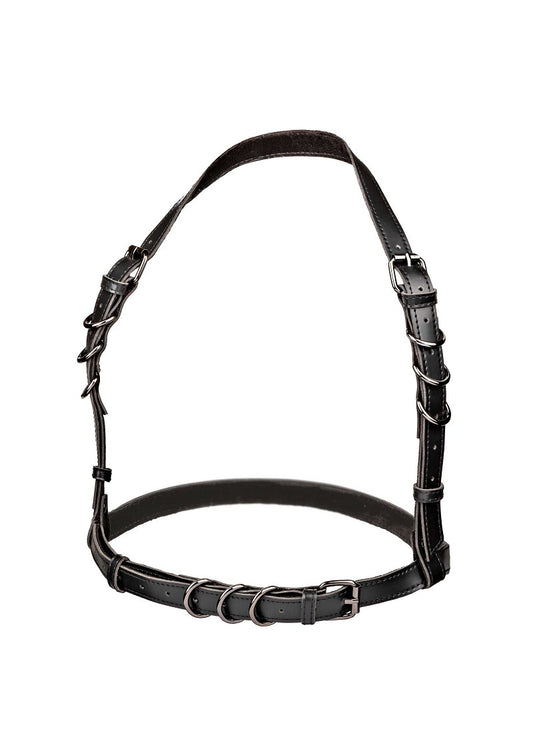 ♀ ♂ CalExotics Euphoria Collection Halter Buckle Harness