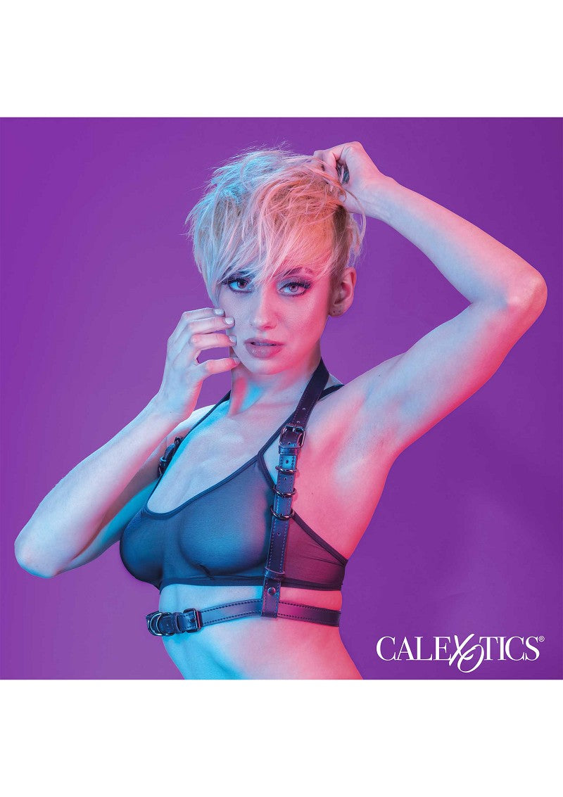 ♀ ♂ CalExotics Euphoria Collection Halter Buckle Harness