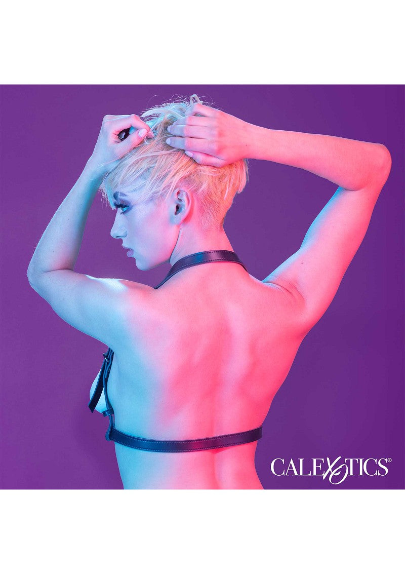 ♀ ♂ CalExotics Euphoria Collection Halter Buckle Harness