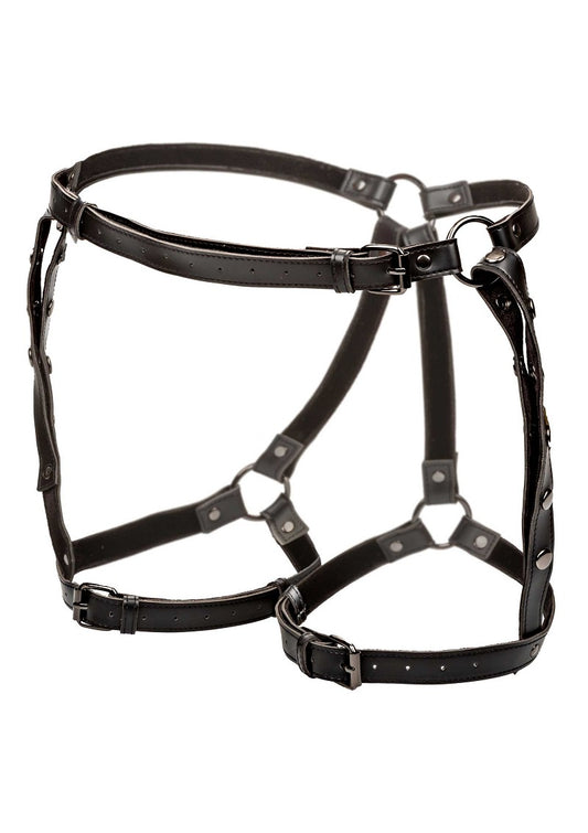 CalExotics Euphoria Collection Plus Size Riding Thigh Harness @ Happytoys Sexshop: Toys for Feeling Happy & Easy 😊