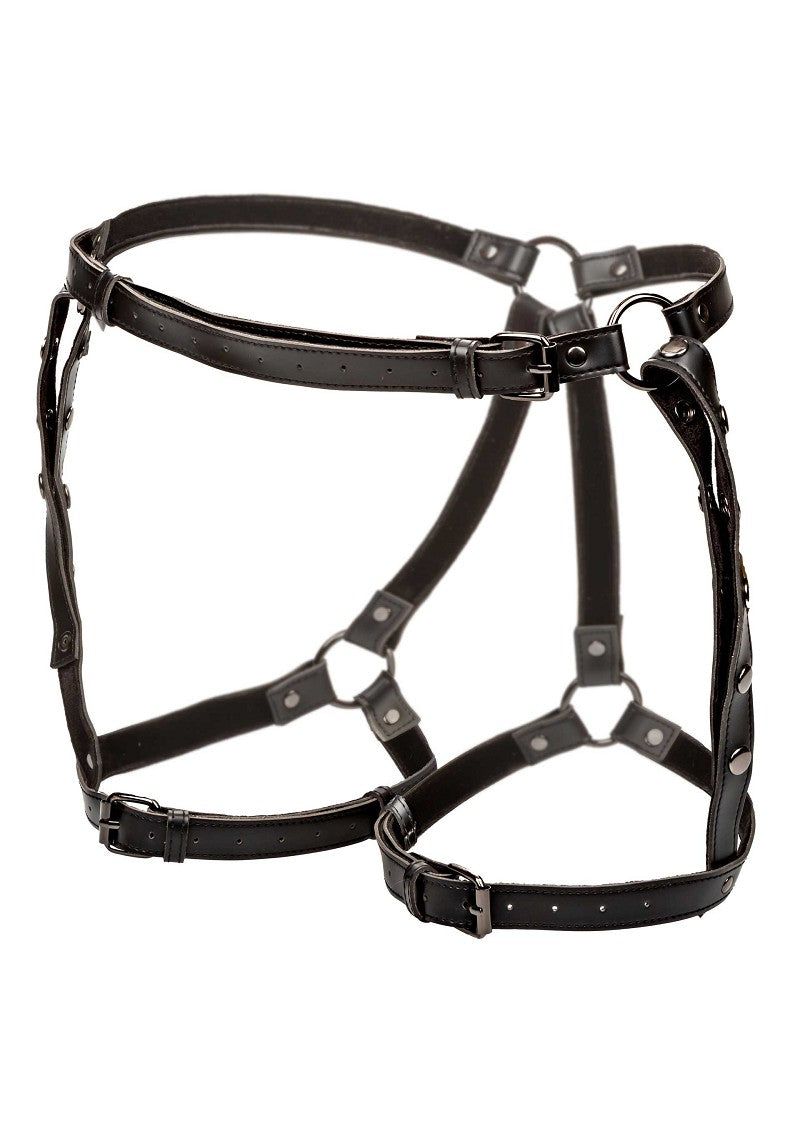 ♀ CalExotics Euphoria Collection Riding Thigh Harness