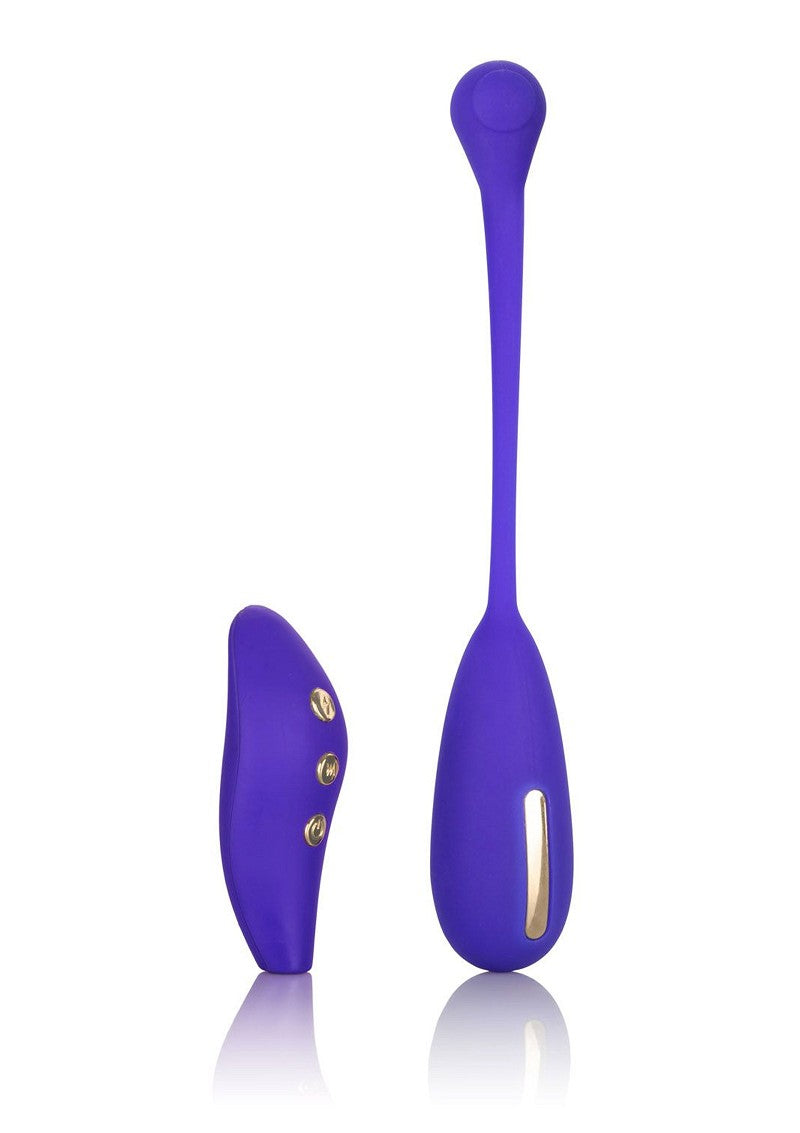 ♀ CalExotics Impulse Intimate E-Stimulator Remote Kegel Exerciser @ Happytoys Sexshop: Toys for Feeling Happy & Easy 😊