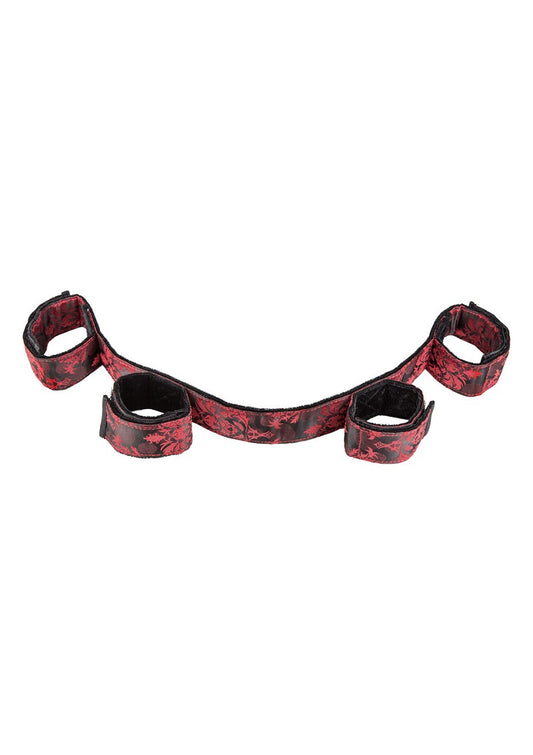 CalExotics Skandal-Bondage-Bar