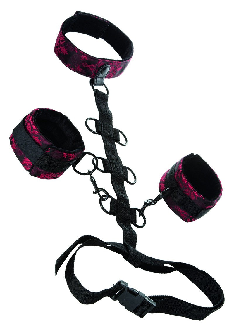 CalExotics Scandal Collar Body Restraint @ Happytoys Sexshop: Toys for Feeling Happy & Easy 😊