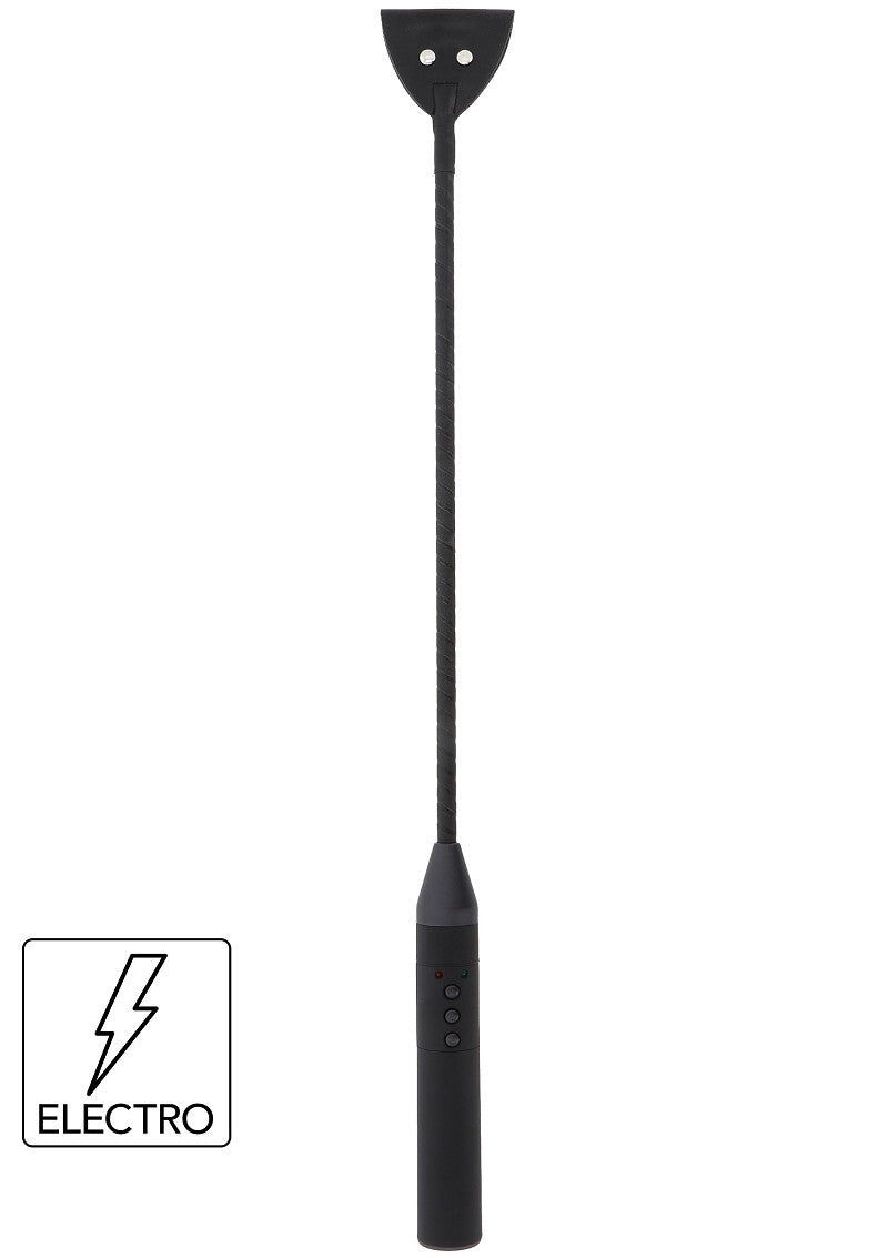 ♂ ♀ Hidden Desire Extreme Electro Riding Crop