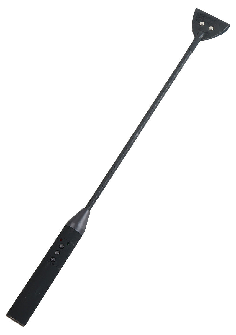 ♂ ♀ Hidden Desire Extreme Electro Riding Crop