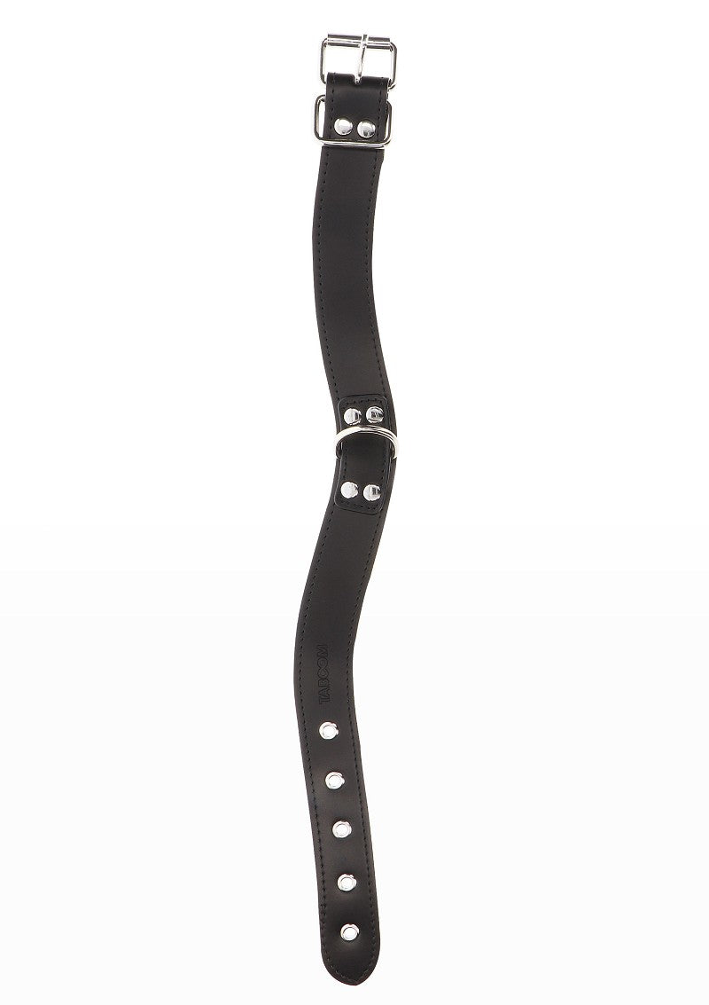 Taboom Bondage Essentials Elegante D-Ring Halsband